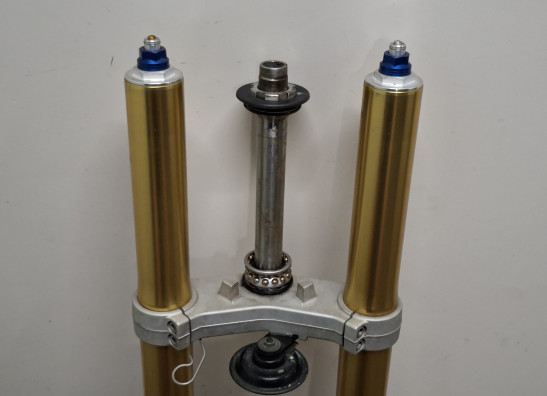 Voorpoten compleet Triumph Tiger 1050