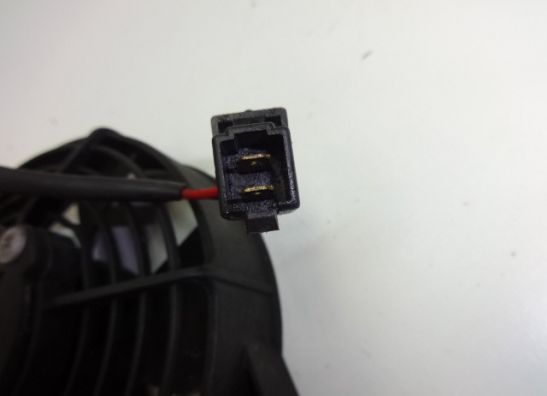 Fan Aprilia RST 1000 Futura