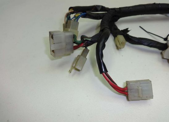 Kabelboom Honda VT 500