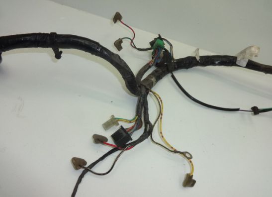 Wire Harness Kawasaki ER 5