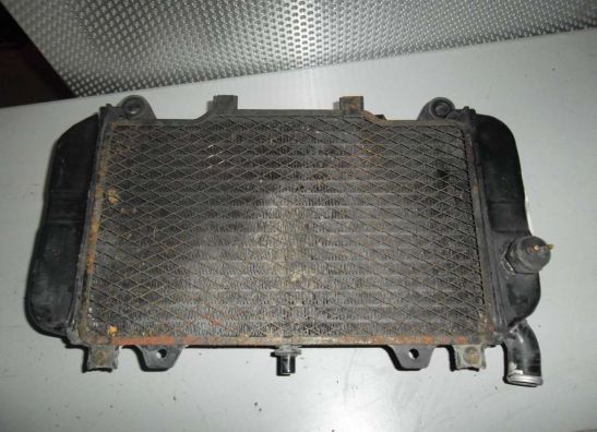 Radiator Kawasaki ZZR 600