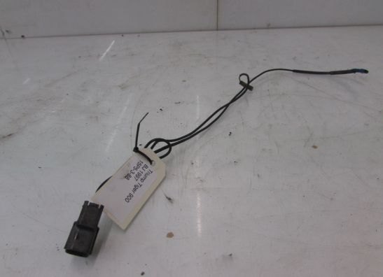 Wire harness front Triumph Tiger 900