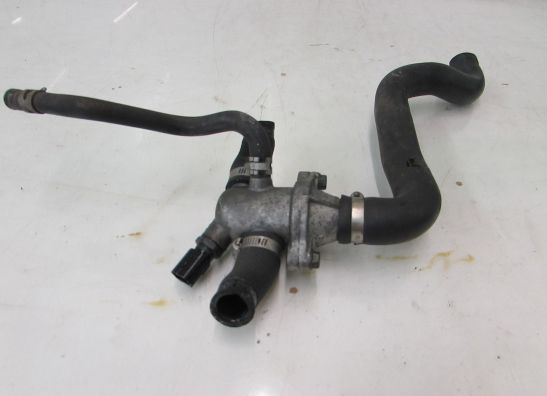 Thermostat Suzuki SV 650