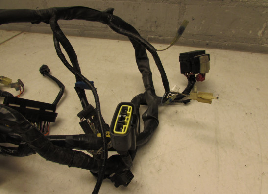 Kabelboom Yamaha FJR 1300