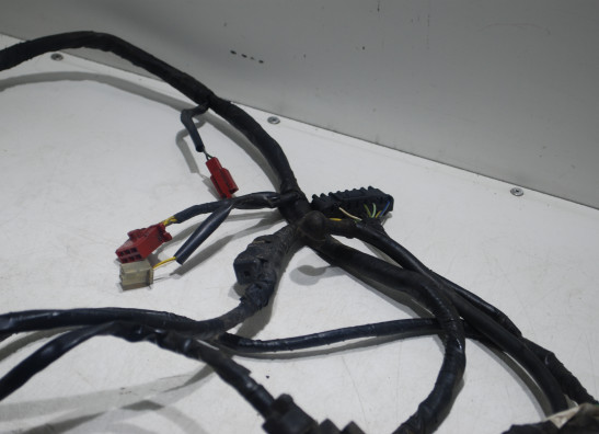 Wire Harness Honda CBR 1000 F