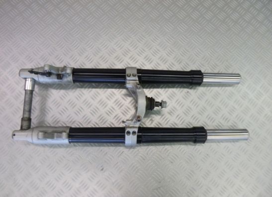 Voorpoten compleet BMW R 1200 S