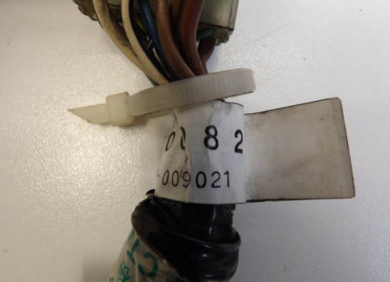 Sicherungkasten Triumph Trophy 900