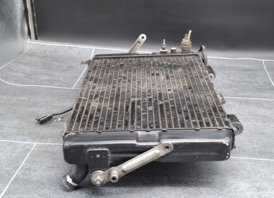 Radiator Yamaha FZR 1000