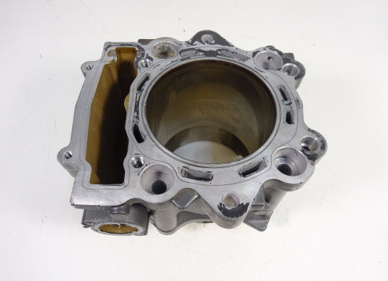 Cylinders Aprilia Pegaso 650