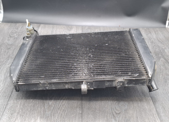 Kuhler Yamaha YZF R1