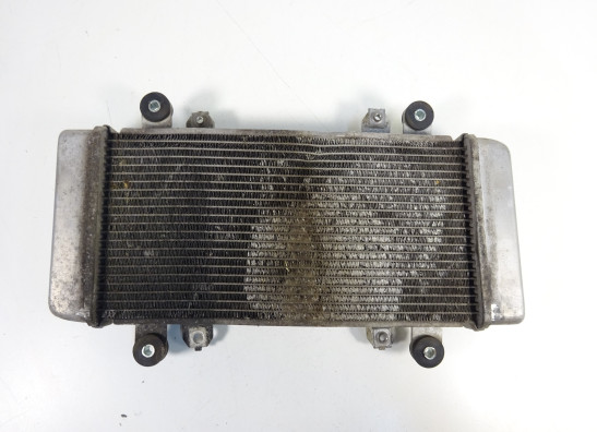 Radiateur Kawasaki Ninja 300