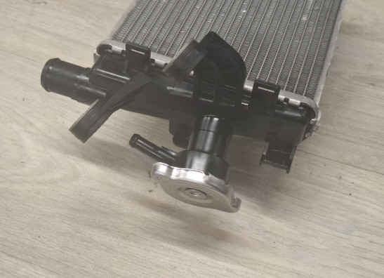 Radiateur BMW R 1200 GS LC Adventure