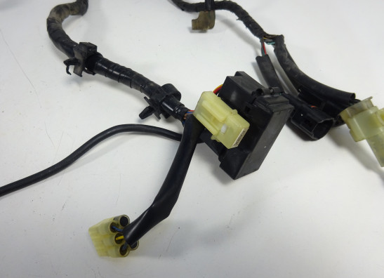 Wire Harness Yamaha FZ6