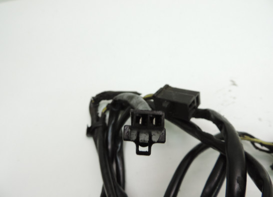 Dynamo Kawasaki ZZR 250