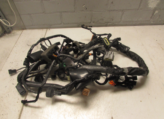 Wire Harness Kawasaki GTR 1400