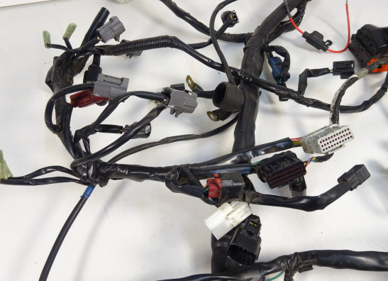 Kabelboom Honda CBF 600