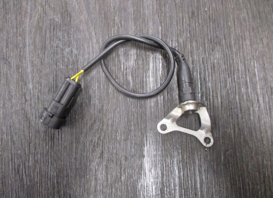 Rempomp achter Ducati Multistrada 1260 2018-2020