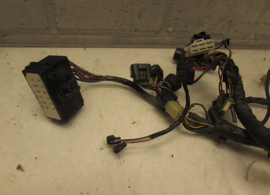 Wire Harness Kawasaki ER 5