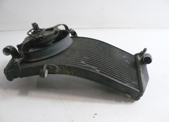 Kuhler Honda CBR Fireblade