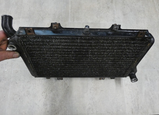 Kuhler Kawasaki ZXR 750