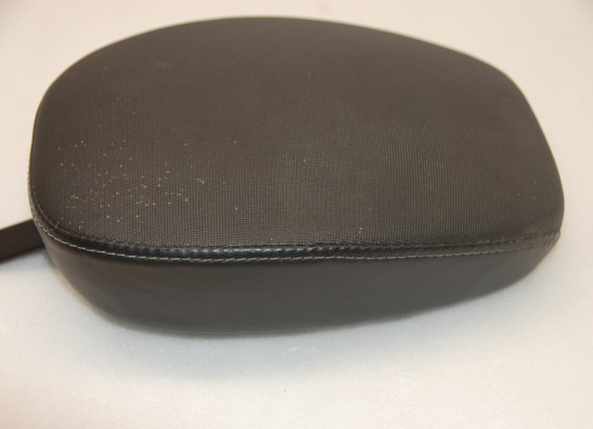 Buddy zadel Harley Davidson Sportster