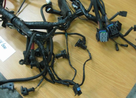 Wire Harness Triumph TT 600