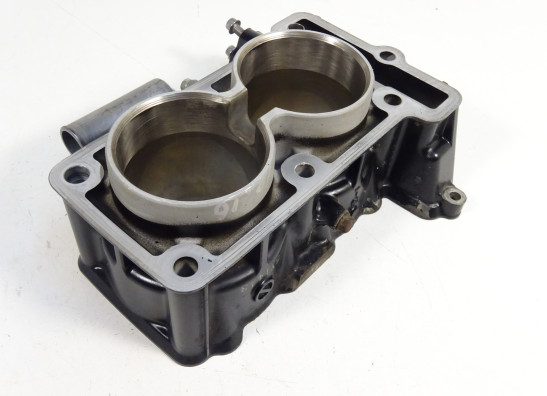 Cilinderblok Kawasaki Ninja 300