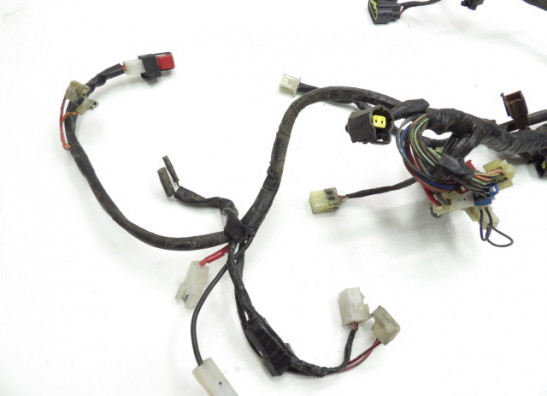 Kabelboom Yamaha FJR 1300