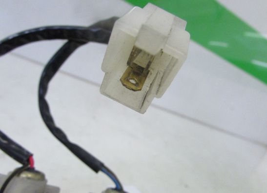 Achterlicht Aprilia Pegaso