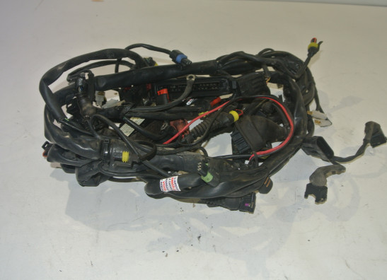 Kabelboom MV Agusta 750 Brutale