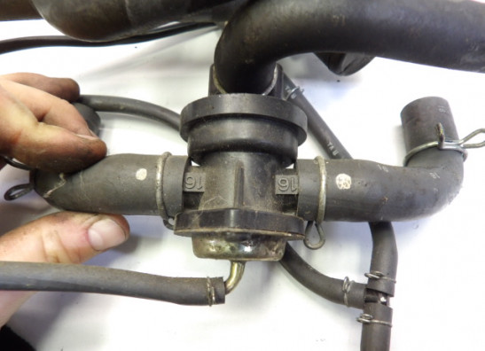 Sonstiges Honda CBR 600 F