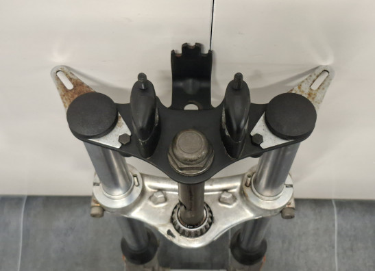 Voorpoten compleet BMW R 100 Rs