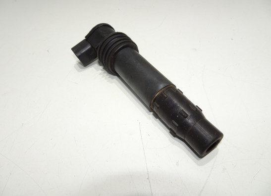 Bobine Ducati Monster S4