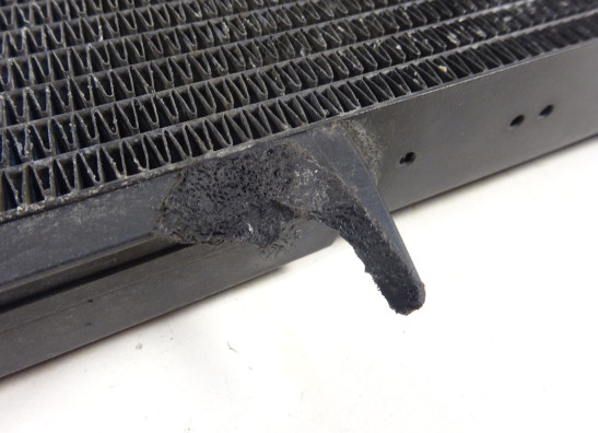 Kuhler BMW F 800 S - ST