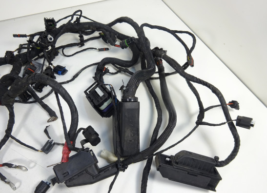 Kabelbaum BMW F 800 S - ST