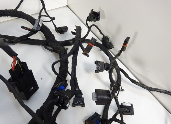 Kabelbaum BMW K 1300 GT