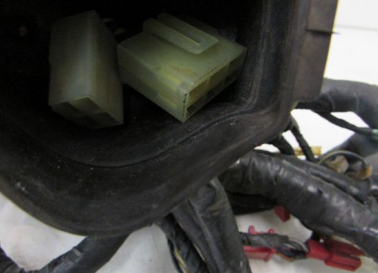 Kabelboom Honda CBR 1000 F