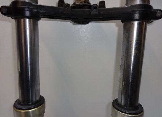 Voorpoten compleet Kawasaki ZZR 250