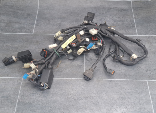 Wire Harness Yamaha YZF R1
