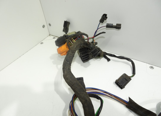 Kabelboom BMW R 1150 GS