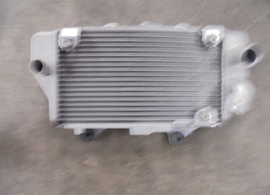 Radiateur Honda CRF 1100L Africa Twin Adventure Sports ES