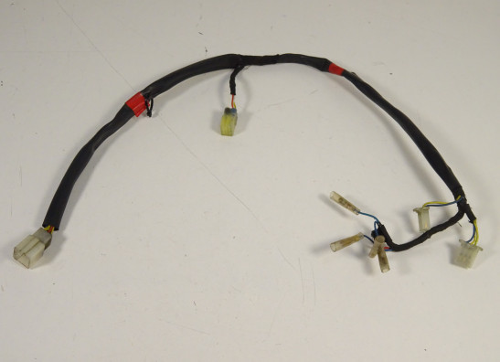 Achterlicht Aprilia Pegaso 650 2005-2009