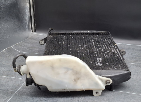 Radiator Yamaha YZF R1