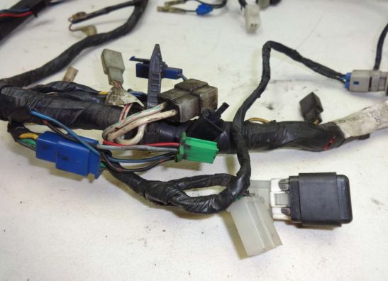 Kabelbaum Yamaha FZR 600