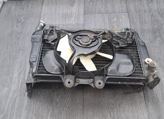 Radiateur Suzuki Gv 1400 cavalcade
