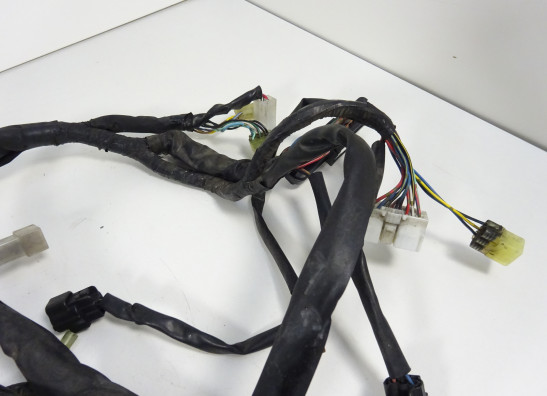 Wire Harness Yamaha FJR 1300
