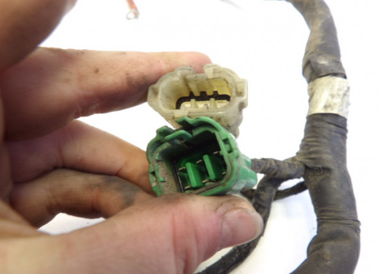 Wire Harness Suzuki SV 650