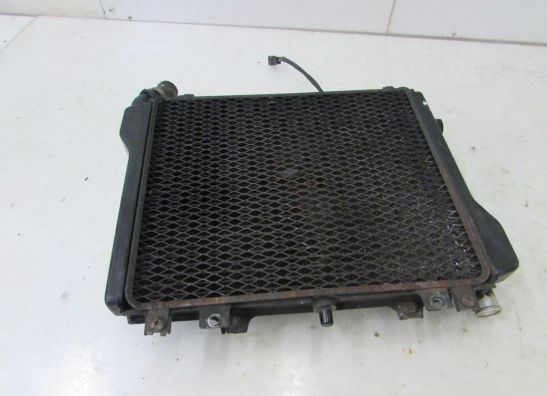 Radiator Kawasaki GPZ 1100