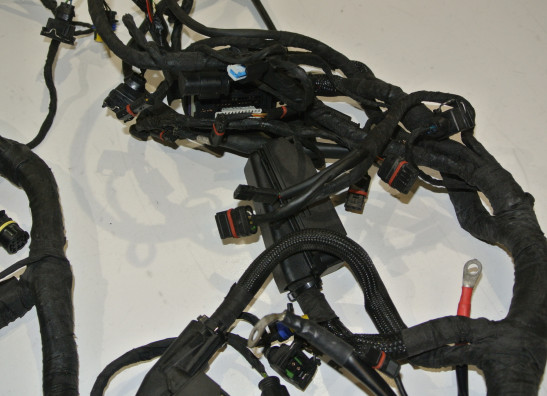 Kabelbaum BMW R 1200 R