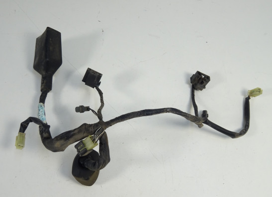 Kabelbaum vorne Suzuki DL 650 V STROM
